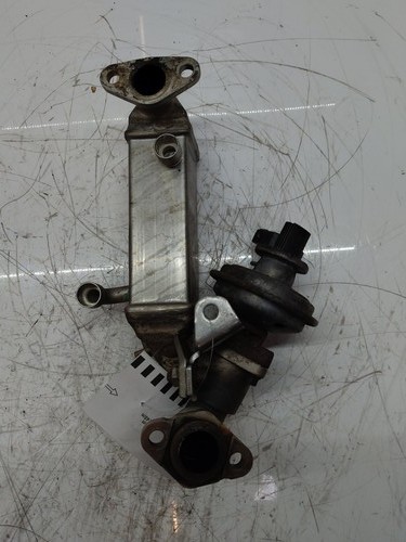 Radiatore scarico per bmw - di,