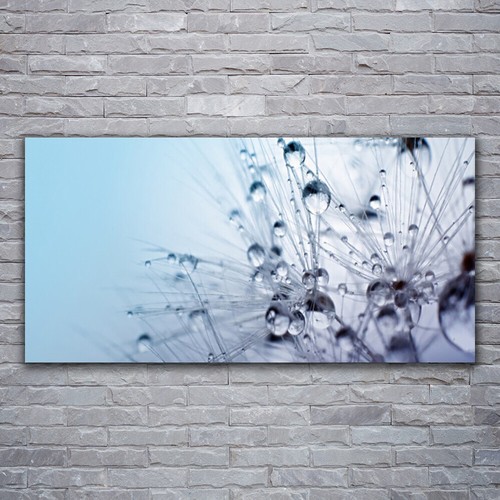 Stampa tela canvas - tela,
