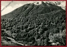 L'AQUILA GIOIA DEI MARSI 02 PARCO NAZIONALE d'ABRUZZO Cartolina FOTOGRAFICA