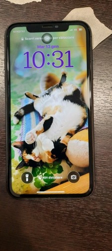 Display iphone oled - display,