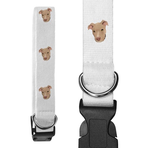 Collari per cani - 'fawn, pit