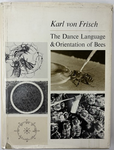 The dance language - dance,