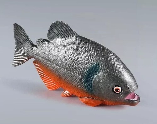 New piranha fish - sea, animal