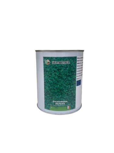 Semi dichondra 500gr - dichondra,
