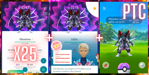Pokémon corazzato mewtwo x27 - corazzato,