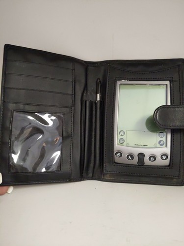 Palm pilot palmare - vx,