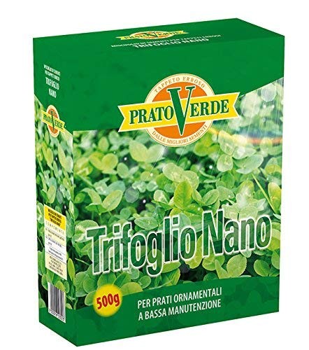 Semi trifoglio nano - semi, 500