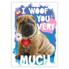 Adesivo regalo: Sharpei I Woof