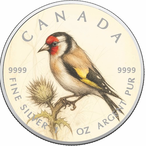 2026 canada oncia - 1,