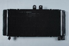 Radiatore Acqua Tipo Originale HONDA CB900F CB Hornet 900 SC48 2002-2007