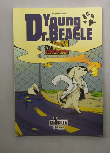 Young beagle di virginia - beagle,