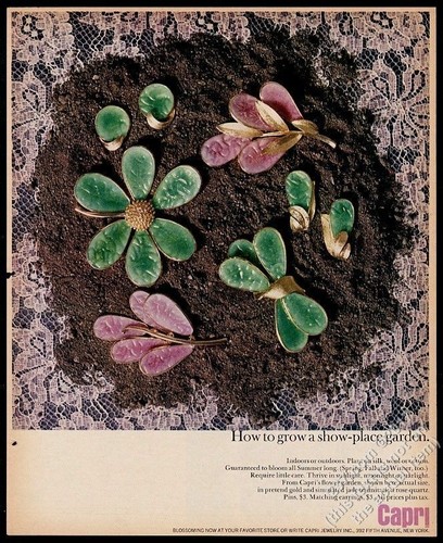 1964 capri bigiotteria fiori - capri,