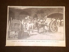 Roma Anno 1913 Arrivo carri Stabilimenti vinicoli vendemmia Raccolta dell'Uva