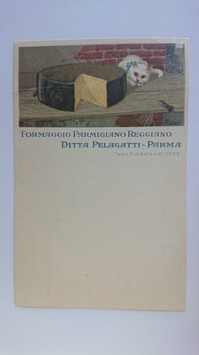 Cartolina pubblicitaria - cartolina,
