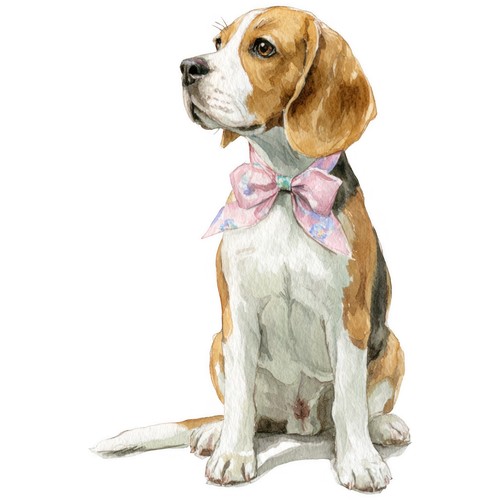 Adesivi beagle auto - adesivi,