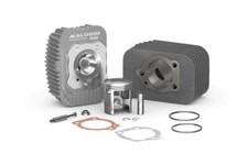 Gruppo termico Malossi 43mm in