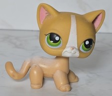Littlest Pet Shop LPS #72