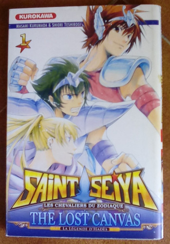Saint seiya the lost canvas - saint,