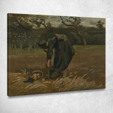 Contadina Che Scava Patate