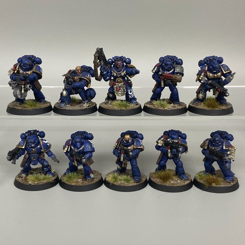 Firstborn tactical squad - firstborn,
