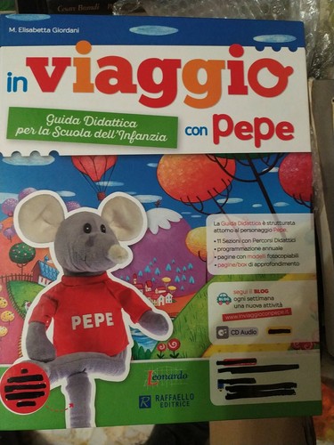 Manuale pratico guida