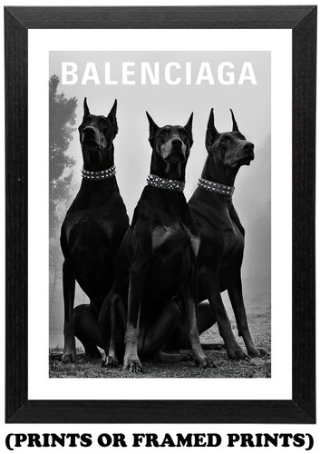 Doberman dogs fashion - doberman, a4