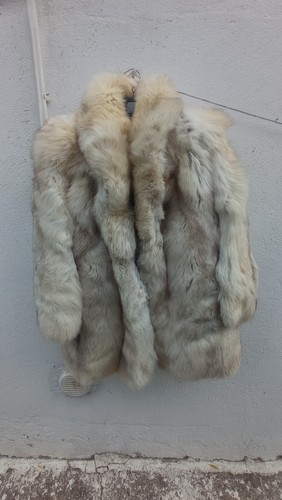 Pelliccia volpe bianca - volpe,