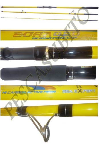 Canna surf casting bora - casting,