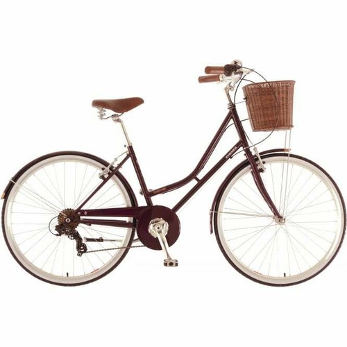Bicicletta tradizionale passo