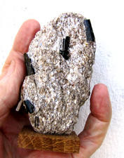 Minerali TORMALINA Dravite,  Beura VB Piemonte