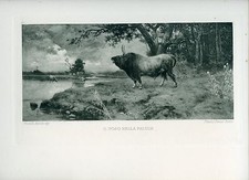 AURELIO TIRATELLI MAGNIFICA