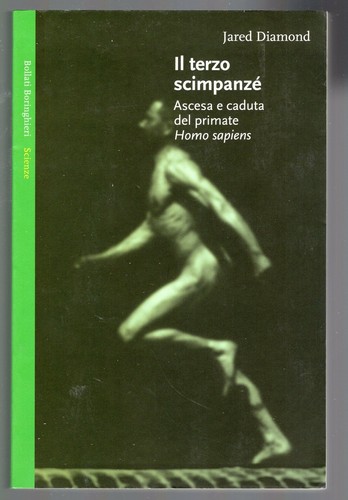 Terzo scimpanze ascesa e - terzo, :