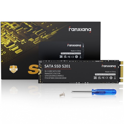Fanxiang sata 256gb ssd - fanxiang,