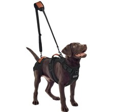 Imbracatura Sollevamento Cani