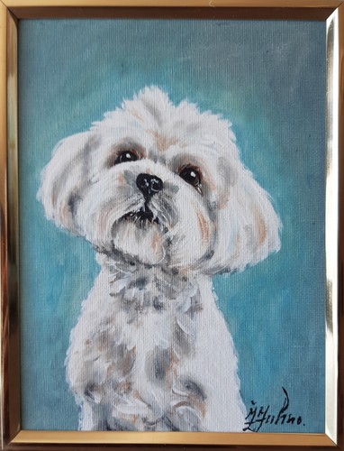 Dipinto olio cane - dipinto, maltese