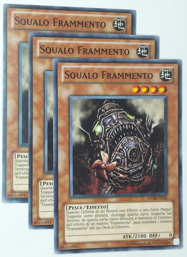 Set squalo frammento - 3x,
