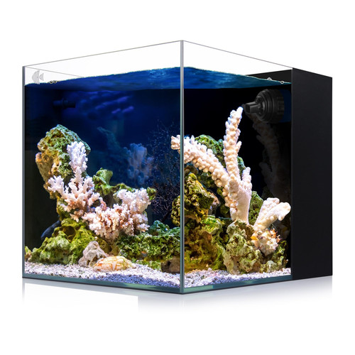 Acquario acqua salata - , ioaoi