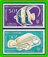 COMORE Is. 1968 Pesci