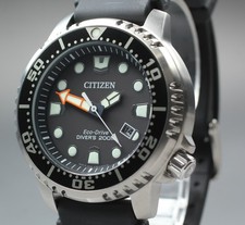 Mint citizen promaster - [mint],