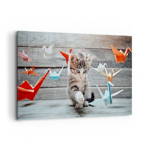 Quadro tela 120x80cm gatto - su,