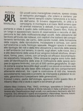 Masi Alberto GLI UCCELLI E I LORO NIDI