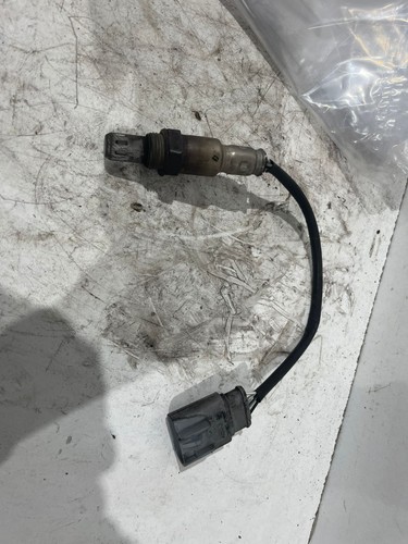 Sonda lambda per - sonda,