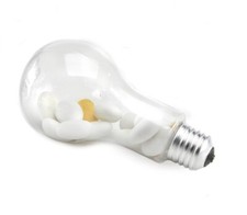 Paben 12 Pezzi Scatola