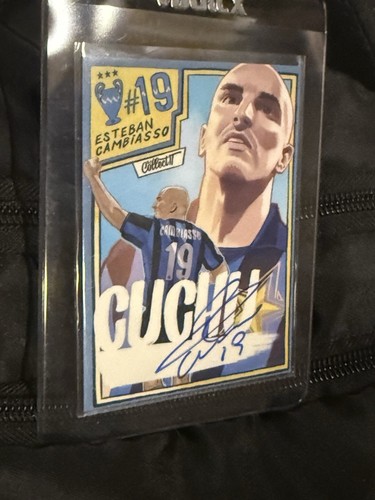 Esteban cuchu cambiasso - cambiasso, 19