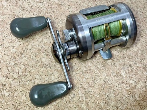 Rara testa serpente daiwa - testa,