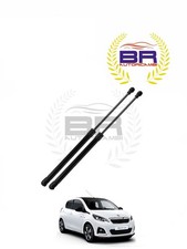 2 Molle a Gas Pistoncini