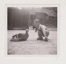 Incontro curioso del giovane