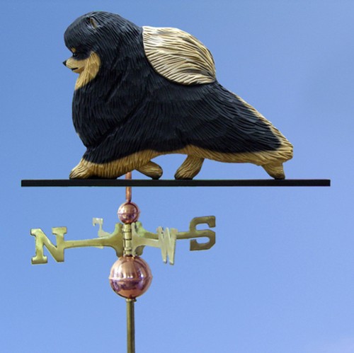 Pomerania intagliato mano - pomerania,
