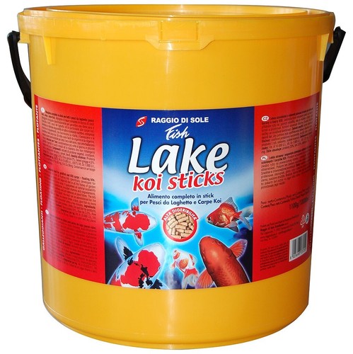 Lake koi sticks raggio sole - lake,
