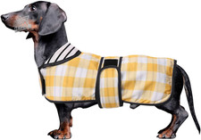 Giacca Bassotto Bassotto in